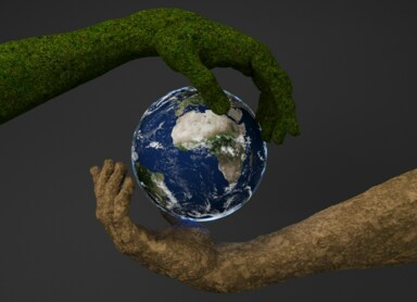 Sustainable development – definition and basic principles