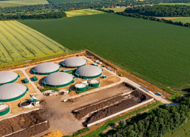 Biogas Plants – The Future of Renewable Energy? Benefits or Threats to the Environment?