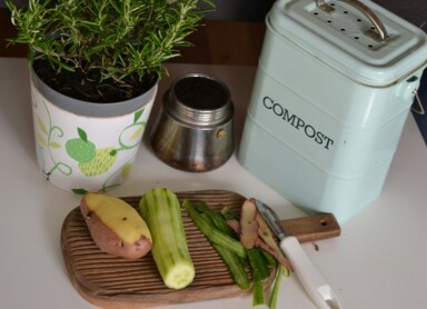 Biodegradable waste — what is it? What should be thrown into bio-waste bins?