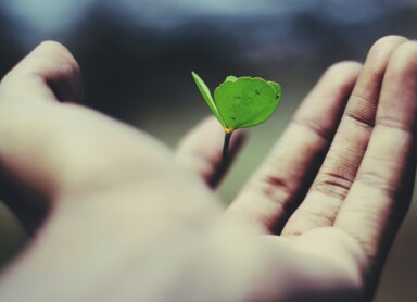 Greenhushing – czy to efekt greenwashingu?
